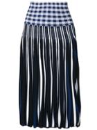 Sonia Rykiel Woven Pleated Skirt - Blue