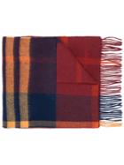 Mulberry Check Fringed Scarf - Red