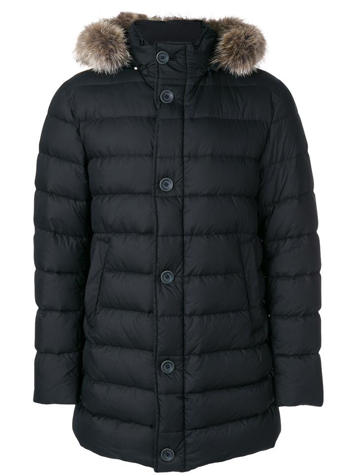 Herno - Fur Trim Padded Coat - Men - Polyamide/polyester/coyote Fur/duck Feathers - 52, Blue, Polyamide/polyester/coyote Fur/duck Feathers