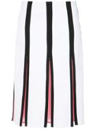Reinaldo Lourenço Panelled Midi Skirt - White