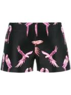 Giamba Parrot Jacquard Shorts, Women's, Size: 40, Black, Polyester