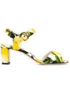 Dolce & Gabbana Floral Print Sandals