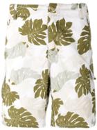 Ermanno Scervino - Palm Print Pocket Shorts - Men - Cotton - 48, Green, Cotton