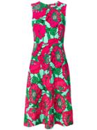 P.a.r.o.s.h. Floral Print Flared Dress - Pink