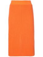Calvin Klein 205w39nyc Ribbed Skirt - Yellow & Orange