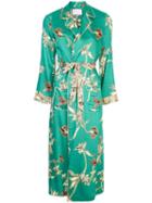 Alexis Barbosa Robe - Green