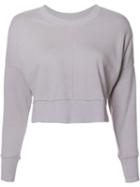 Daniel Patrick Cropped Sweatshirt, Women's, Size: Xs, Pink/purple, Cotton