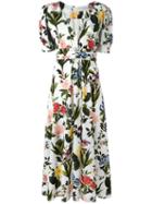 Vivetta Floral Print Tea Dress, Women's, Size: 40, White, Polyester/spandex/elastane
