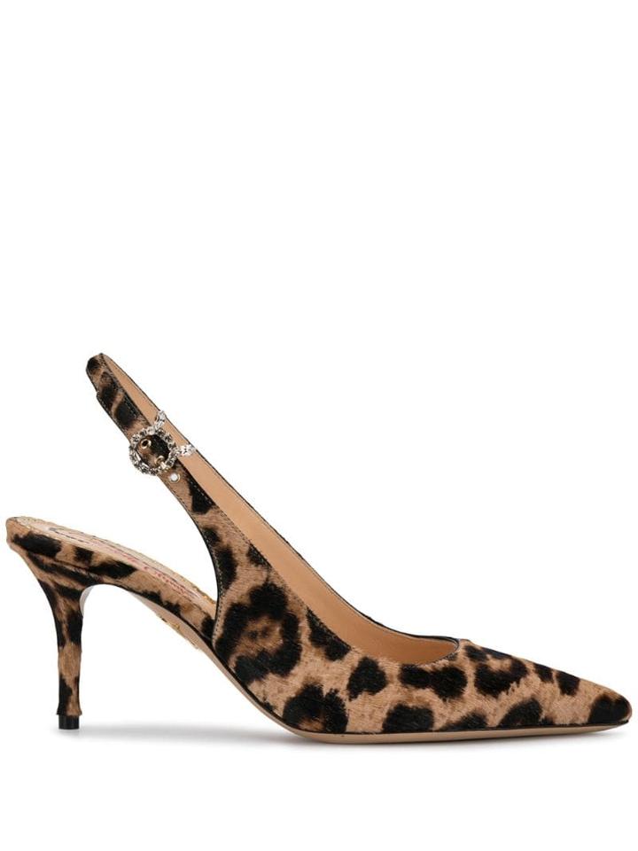 Charlotte Olympia Pointed Leopard Print Pumps - Neutrals