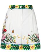 Dolce & Gabbana - Majolica Print Shorts - Women - Cotton - 38, White, Cotton