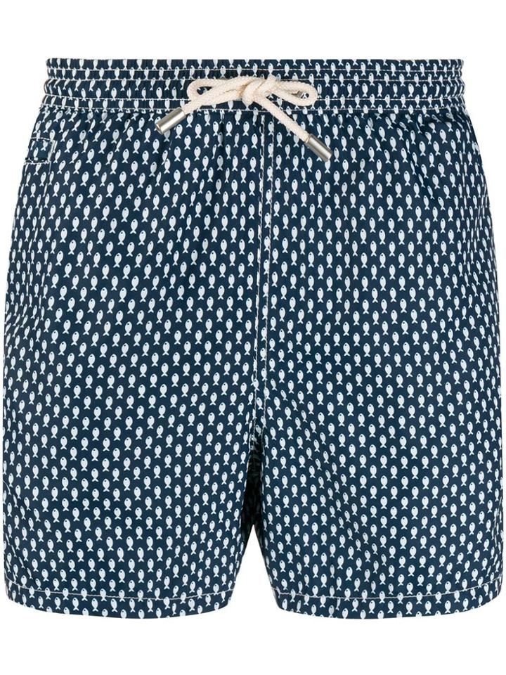 Mc2 Saint Barth Micro Fish Print Swim Shorts - Blue