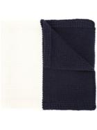 Han Ahn Soon Striped Knitted Scarf - Blue