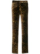 Masscob Canyon Trousers - Brown