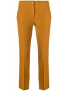Blanca Cropped Trousers - Brown