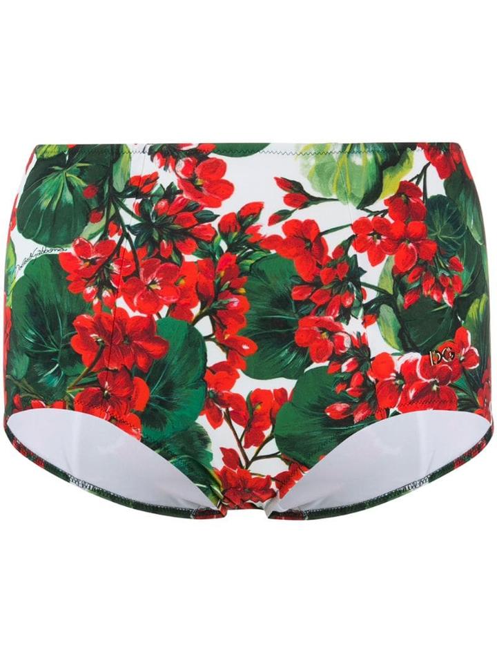 Dolce & Gabbana Floral-print Bikini Briefs - Green