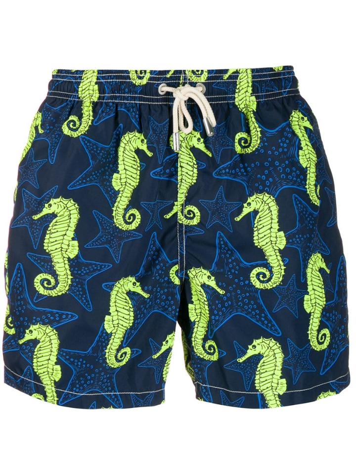 Mc2 Saint Barth Sea Creatures Swimming Shorts - Blue