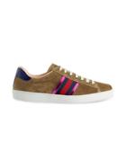 Gucci Ace Velvet Low-top Sneaker - Brown