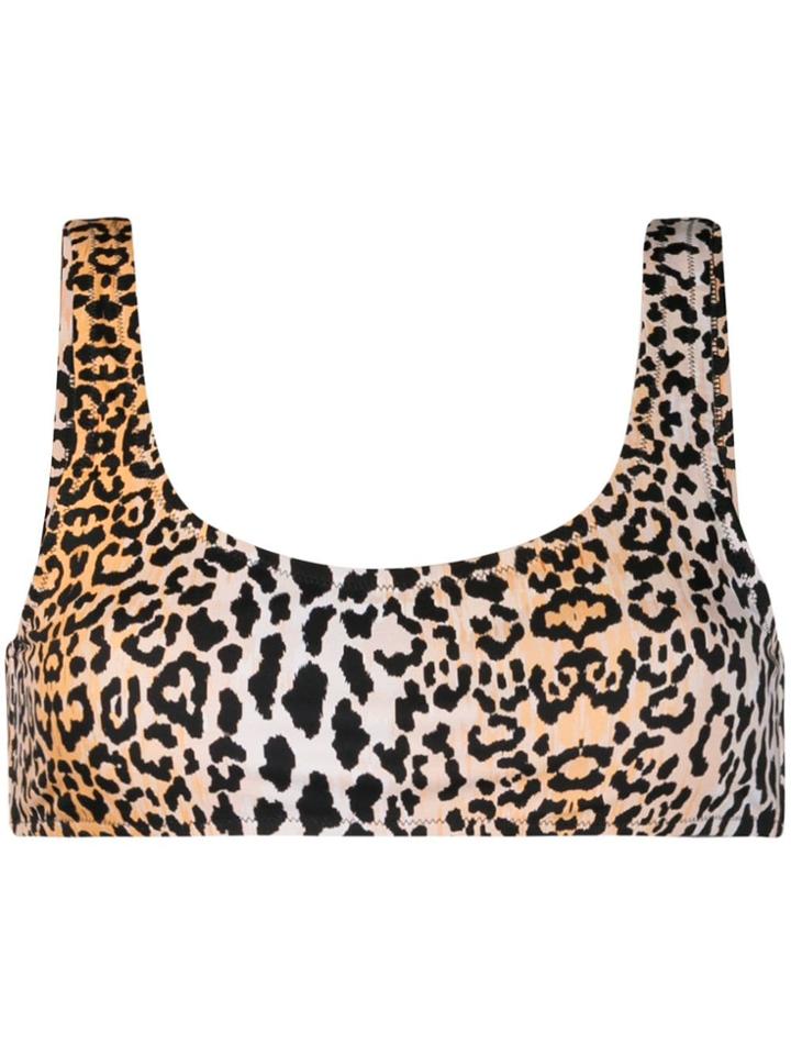 Reina Olga Leopard Print Bikini Top - Black