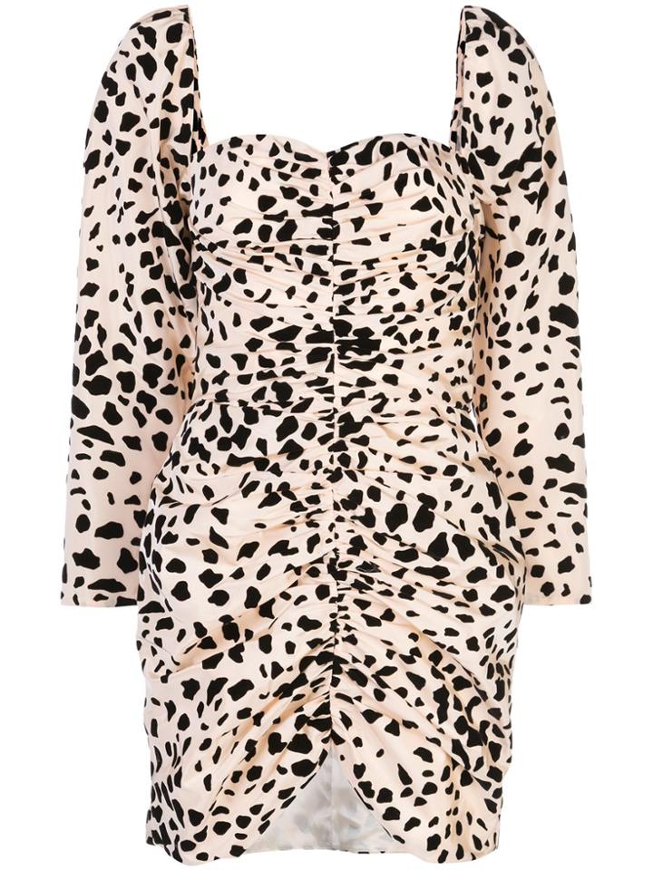 Markarian Animal Print Mini Dress - Neutrals