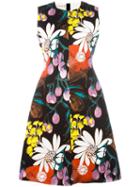 Marni Madder Print Dress, Women's, Size: 46, Black, Cotton/linen/flax
