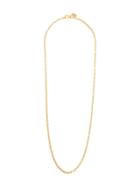 Liya Slim Chain Necklace - Gold