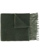 Polo Ralph Lauren Fringed Knit Scarf, Men's, Green, Nylon/wool