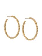 Isabel Lennse Twisted Loop Earrings - Gold