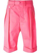 Lardini Tailored Pleated Shorts, Men's, Size: 48, Pink/purple, Cotton