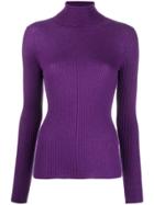 Snobby Sheep Ribbed Roll Neck Top - Purple