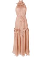 Maria Lucia Hohan Romantic Pleated Gown - Nude & Neutrals