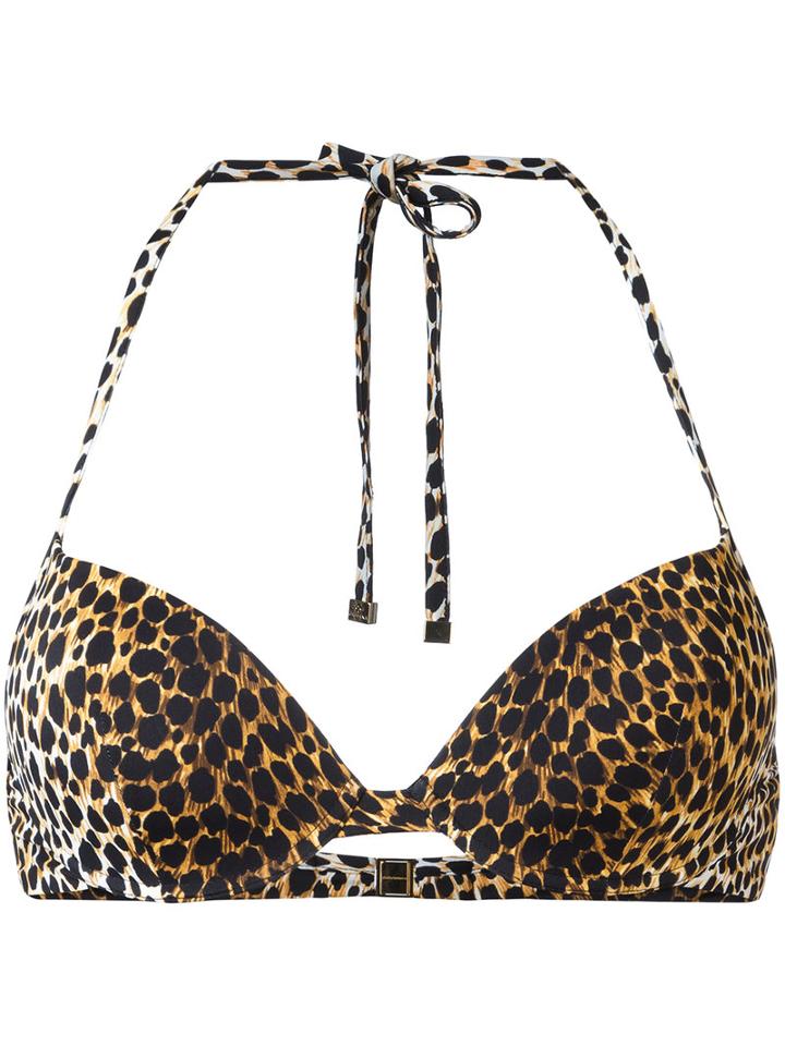 Dolce & Gabbana - Leopard Print Bikini Top - Women - Polyamide/spandex/elastane - Iv, Brown, Polyamide/spandex/elastane