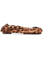 Dolce & Gabbana Leopard Print Ballerinas - Brown