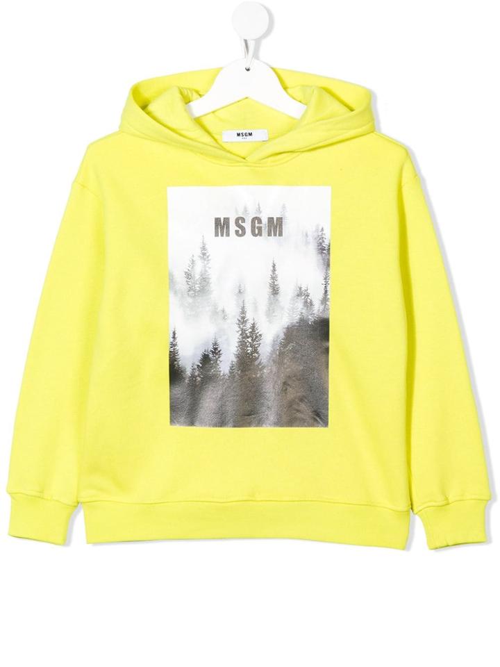 Msgm Kids Forest Logo Printed Hoodie - Yellow