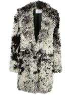 Common Leisure Common Leisure Dream Tigrado Napato - Black