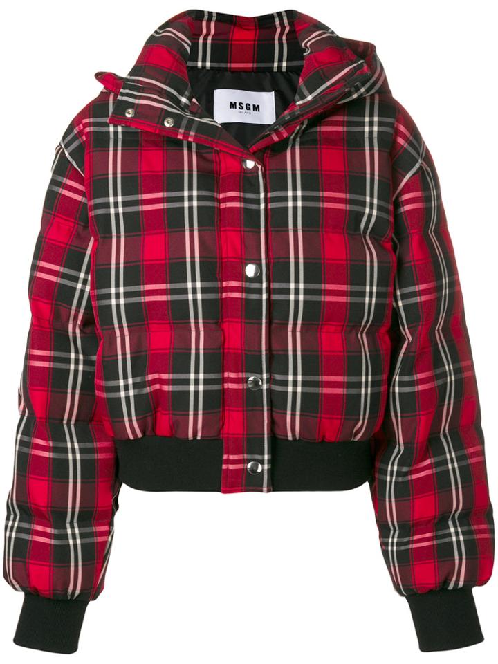Msgm Checked Bomber Jacket - Red
