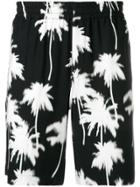 Msgm Palm Tree Shorts - Black