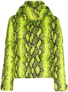 Off-white Python Print Hooded Puffer Jacket - Yellow