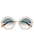 Chloé Eyewear Shell Sunglasses - Brown