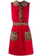 Dolce & Gabbana Leopard Print Dress - Red