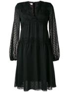 Giamba Lace Embroidered Midi Dress - Black