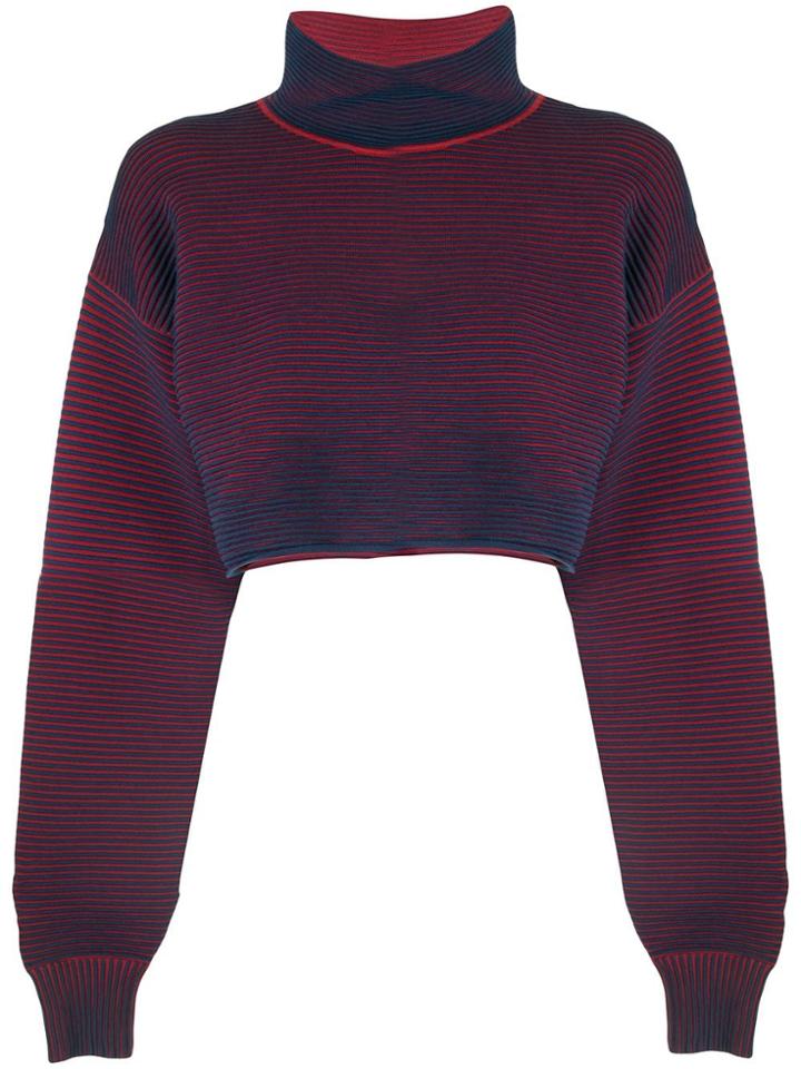 Nagnata Cropped Rib Sweater - Blue