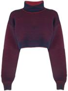 Nagnata Cropped Rib Sweater - Blue