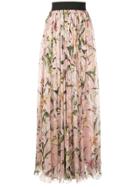 Dolce & Gabbana Lily Print Long Skirt - Pink
