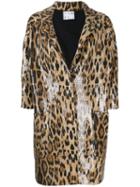In The Mood For Love Sara Animal Print Jacket - Brown