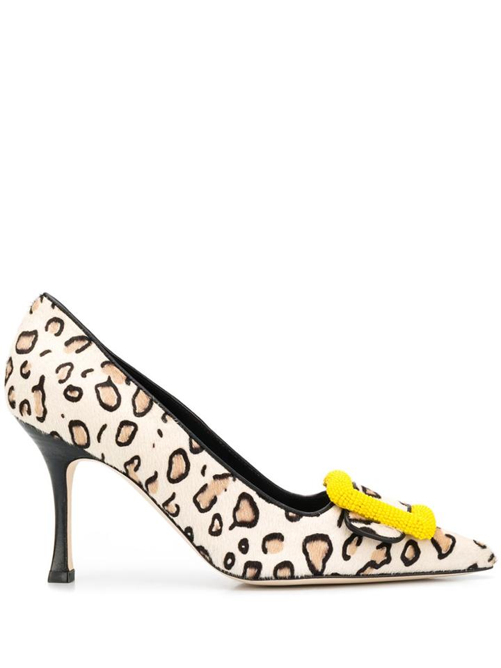 Manolo Blahnik Buckle-detail Leopard Pumps - Neutrals