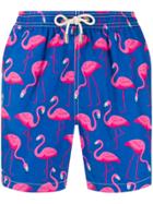 Mc2 Saint Barth Flamingo Swim Shorts - Blue