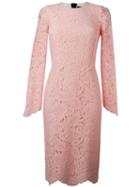 Marco Bologna Lace Sheath Dress