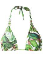 Blue Man Printed Triangle Bikini Top, Women's, Size: G, Green, Lyocell