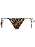Dolce & Gabbana - Leopard Print Bikini Bottoms - Women - Polyamide/spandex/elastane - Iv, Nude/neutrals, Polyamide/spandex/elastane