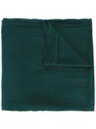 Faliero Sarti Azzurra Scarf, Women's, Green, Cashmere/modal